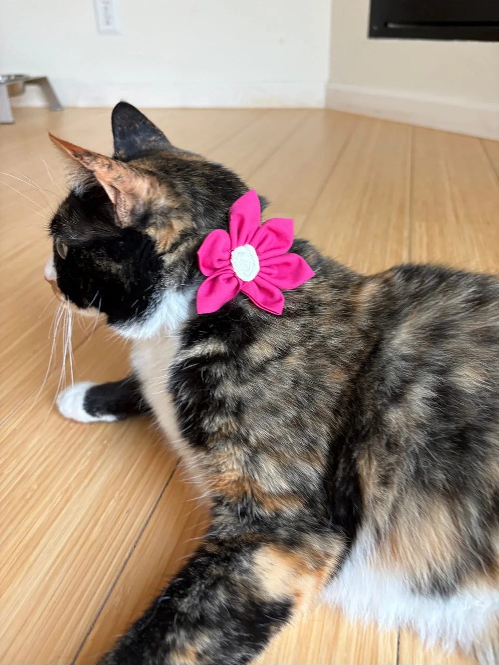 Handmade by Zink & Dot- Removable Pet Collar Floral Accessory